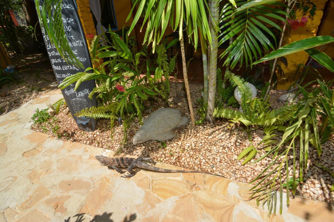 Conchal Hotel Brasilito Εξωτερικό φωτογραφία