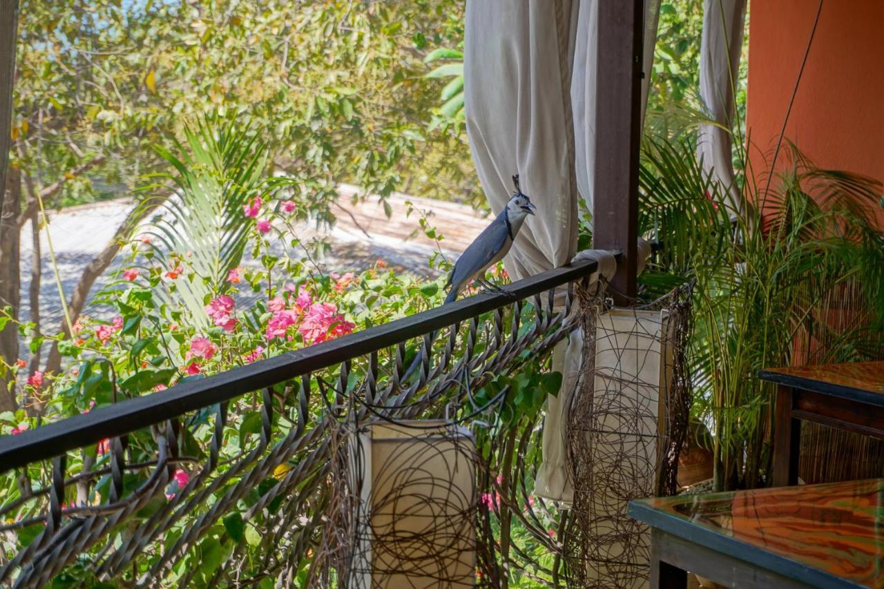 Conchal Hotel Brasilito Εξωτερικό φωτογραφία