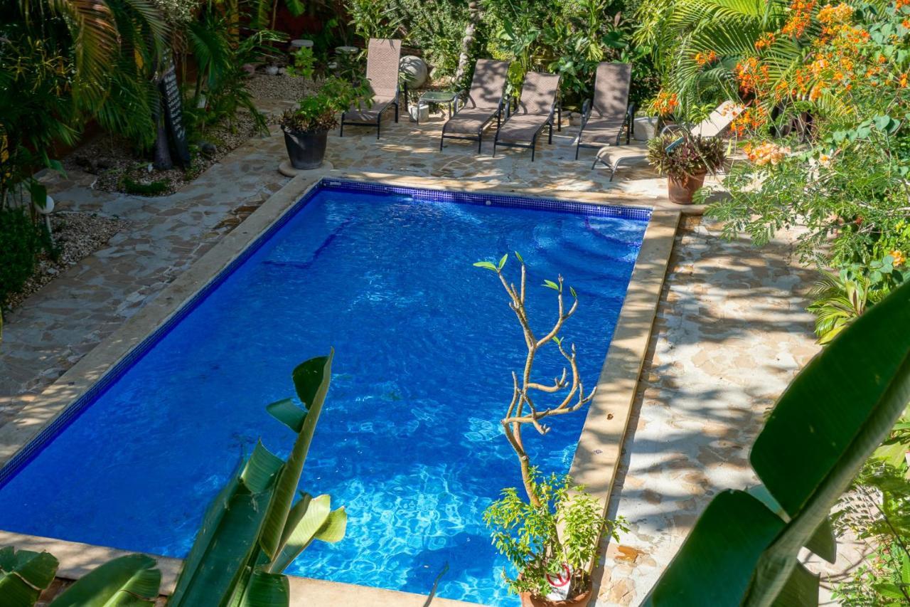 Conchal Hotel Brasilito Εξωτερικό φωτογραφία